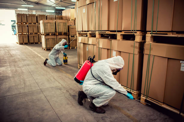 Pest Control for Restaurants in Margate, FL