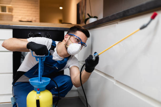 Trusted Margate, FL Pest Control Experts